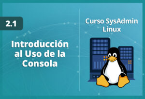 introducción-al-uso-de-la-consola