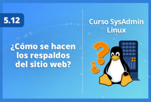 como-se-hacen-los-respaldos-del-sitio-web-en-linux